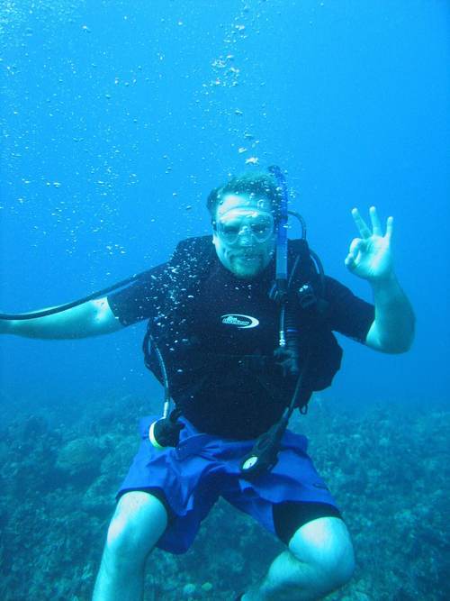 surfdonkey's profile picture. 