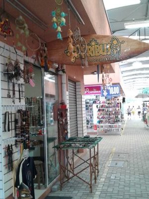 Tribus18's profile picture. Brusque-sc, camelo do centro.