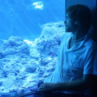 David Combosch (@reef_combo) 's Twitter Profile Photo David Combosch (@reef_combo) 's Twitter Profile Photo