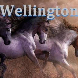 WellingtonFilmz's profile picture. 