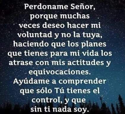 dinorazamu's profile picture. 