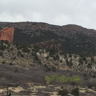 joellenreid's profile picture. 