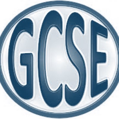 lifeofGCSEs's profile picture. 