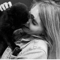 Tess Abbott (@tess_abbott) 's Twitter Profile Photo Tess Abbott (@tess_abbott) 's Twitter Profile Photo