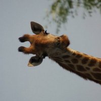 Merijn te Booij (@merijngrw) 's Twitter Profile