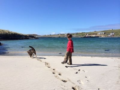 SimonAvis1's profile picture. 