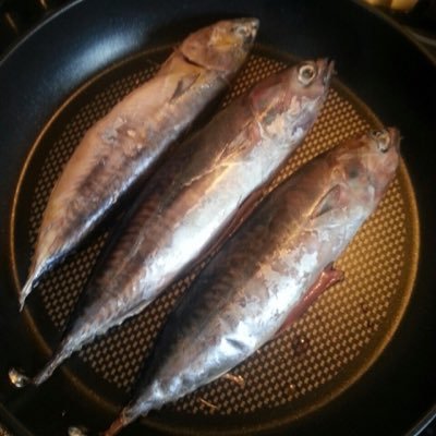 JohnT32689923's profile picture. Bonjour! La Vie Est Belle.  Heureux