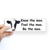 Shelly Flint - @MichyMooCow Twitter Profile Photo