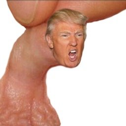 Trumps Tiny Penis Trumps Tiny Penis