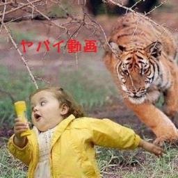 3yKWnlpjq8AI03j's profile picture. 