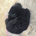 kiichi (@13dQpW3hZ7fArRL) Twitter