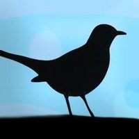 Kaupunkipuisto Hkiin (@kkphelsinkiin) 's Twitter Profile