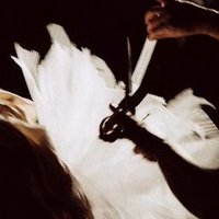仕立て屋のサーカス (@circodesastre) 's Twitter Profile