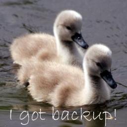 Unlimited Online Data Backup.100% Automated And Secure With 30 Day Money Back Offer. 24/7/365 Customer Support. Make 100% COMMISSIONS. https://t.co/4a8MFspfnx