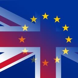 A referendum too important to lose. Statistics are sourced from academic or professional research.