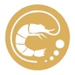 NautilusFeW's profile picture. Il primo Food Truck Catering in Italia. Matrimoni Eventi privati e pubblici con cucina espressa a vista show cooking, Deliziosi piatti di pesce.