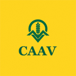 CAAVAgValuer Profile Picture