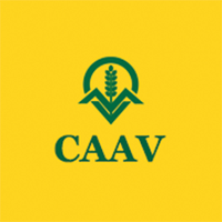 CAAV (@caavagvaluer) 's Twitter Profile