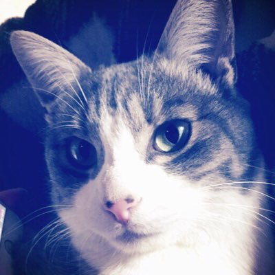 タスマさんのプロフィール画像