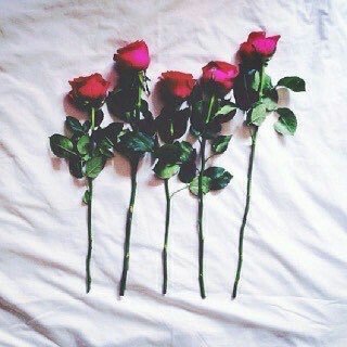 noof7898's profile picture. هًنيِئآ لّگٍلّ مٌن آحًتٍآجُ آبيِهً فُوجُدهً !! وان ضمني قبري يا الله ؛ سخر لي من يقف بين يديك ويرجوك رحمة ومغفرة لذنوبي