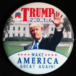 TRUMPWINNING1's profile picture. TRUMP OR DIE!