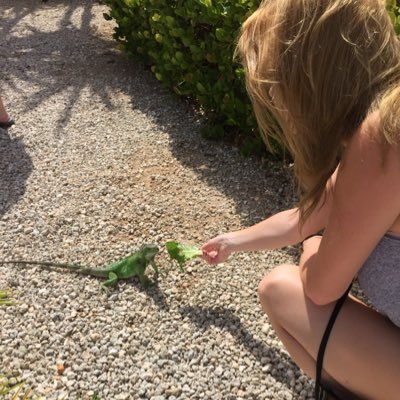 AttemptingTrvl's profile picture. 