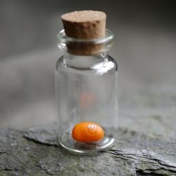 bellstinofbeans's profile picture. Pet Baked Beans, Pet Avocados, Pet Coffee Beans and many more mini pets available from my Etsy shop!! 😊 Follow the link below 😙