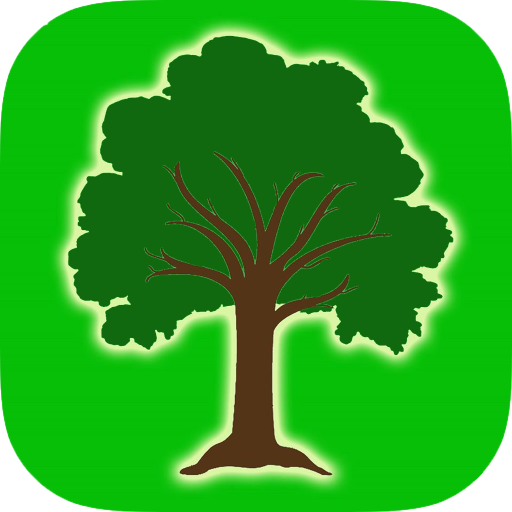 The first ever Social Media Directory. Learn how to grow your personal brand better with @Dapptree. Follow us on Instagram @dapptree