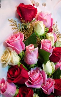 SkSohrabuddin's profile picture. 