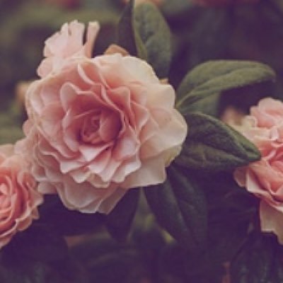 __RubyJB_'s profile picture. ...