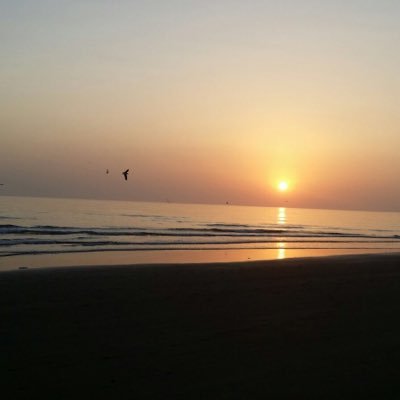Squ_science                                                        1995