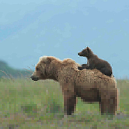 antheameng_qfm's profile picture. Visiting Fellow