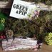 Green&Pip (@greenandpip) Twitter profile photo Green&Pip (@greenandpip) Twitter profile photo