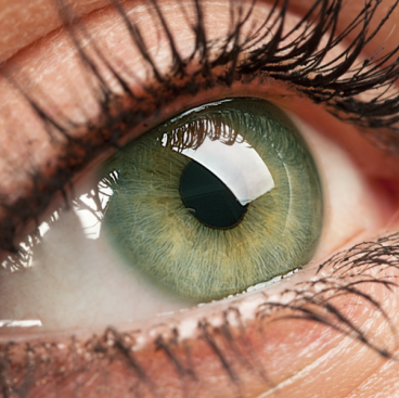 otica_brilhante's profile picture. Óptica Brilhante, a nova loja virtual com descontos especiais todos os dias APROVEITE ! A maior loja do mercado Óptico e atendemos você no conforto de sua casa.