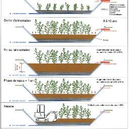 ArbalK's profile picture. voilà c'est fait !