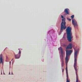 مَآآآ گل عذرٍ يرد آآآآآلنفس ، لـأ طآآابت