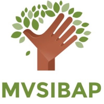 MVSIBAP's profile picture. 5 students partnering with Nigerian Business, NewCo Welders over the course of 2 years to help solve developmental issues and improve key facets of the business