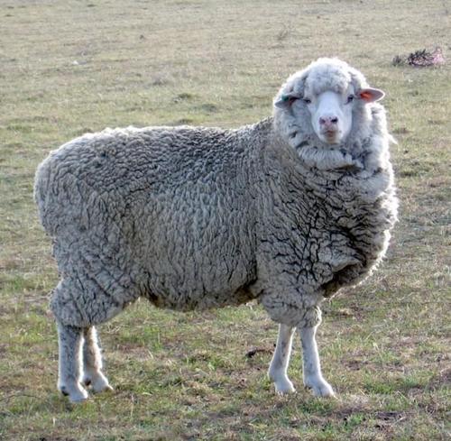 TheSouthernNerd's profile picture. Ohh Yeah!