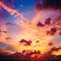 oceanviews80's profile picture. 