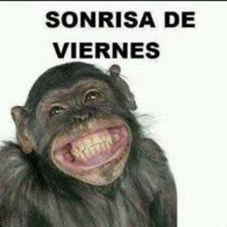 danielekdn5631's profile picture.