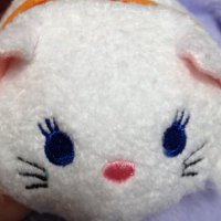 ちり (@chiriririn_2) 's Twitter Profile Photo
