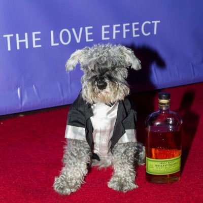 KompisBelowDeck's profile picture. I was on Bravo's #BelowDeck - twice. Yes, I'm a schnauzer who was on a mega yacht. Catch me on Animal Planet, MythBusters, DOGTV & several movies too!