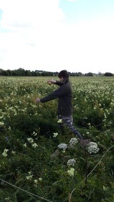 Roscommon born, Galway based ecologist. Likes history, music and Galway Bay brewed beer.