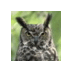 Profile Picture of Marlene Osborne (@artistuna) on Twitter