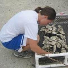 koshaughnessy33's profile picture. Coastal ecologist