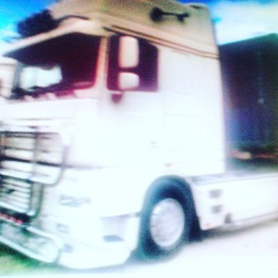 elmejor8411486's profile picture. 