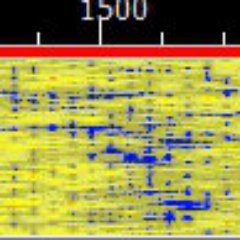 DigiDX - Shortwave and DX news, radio reviews and readers letters and feedback in MFSK32 mode.