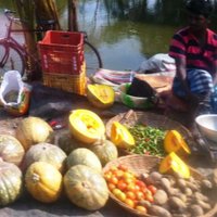MSc Agroecology HAU (@agroecolmasters) 's Twitter Profile