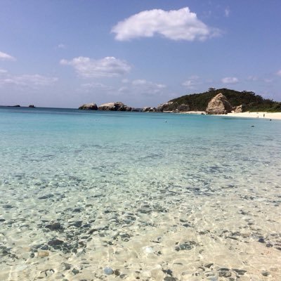 Profile Picture of かわかみ ゆうま (@roycoco14) on Twitter