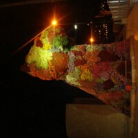 eddy (@eddy) 's Twitter Profile